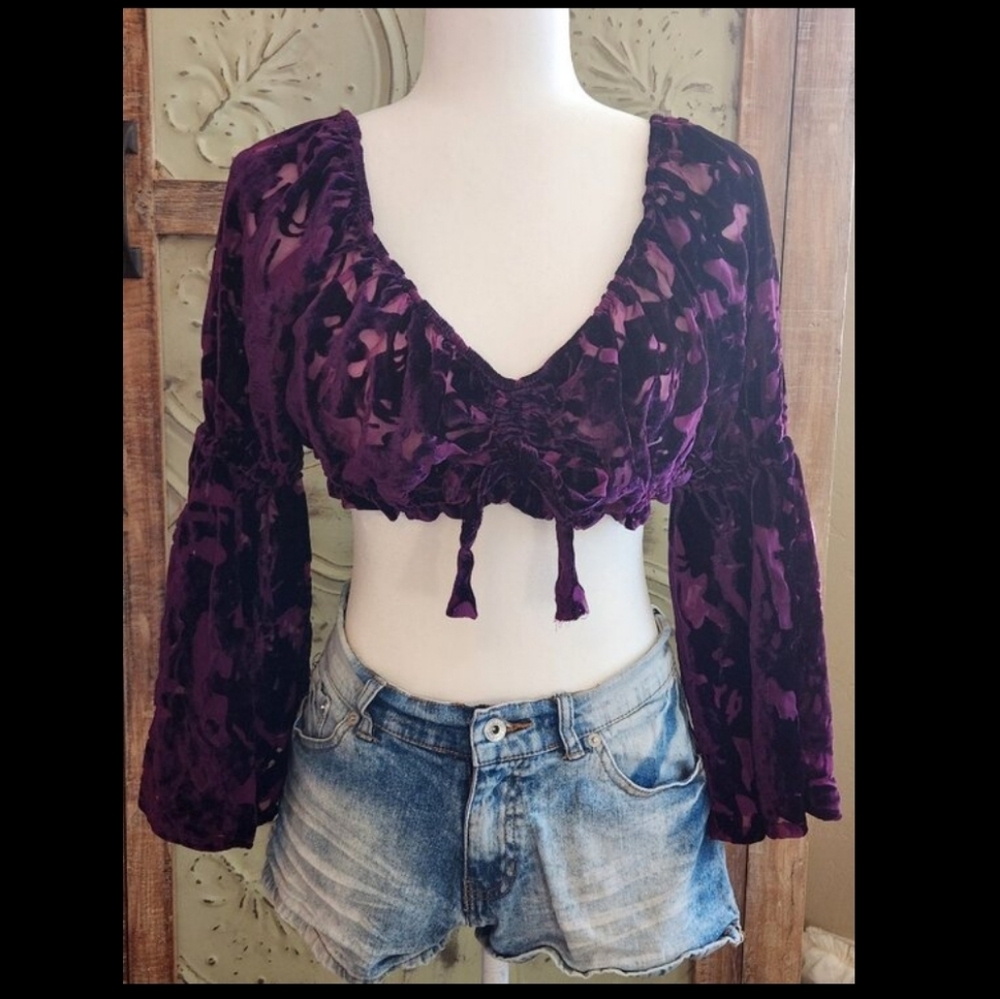 Purple Crushed Velvet Whimsigoth Sheer Cropped Blouse w/ Dramatic Bell Sleeves